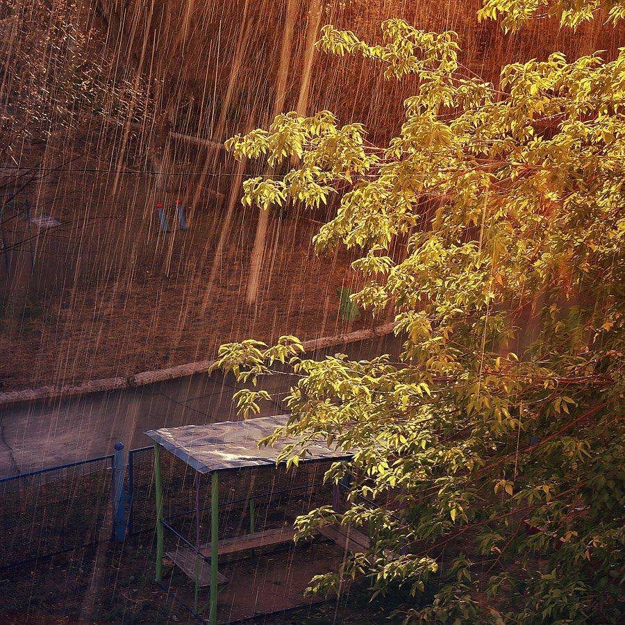 , Качурин Алексей