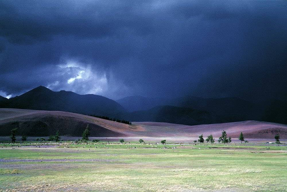 , Павел Мартюшев
