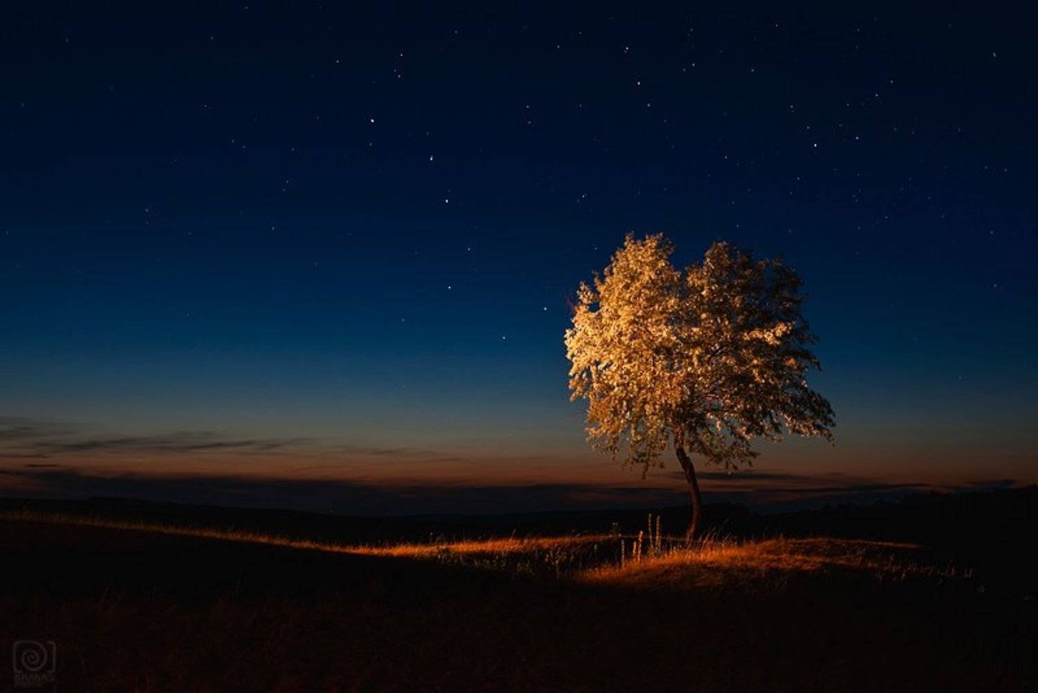 , Кирилл Брага