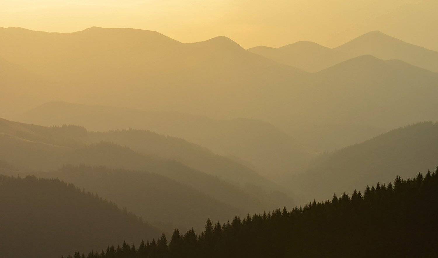 горы, хребты, долина, карпаты, Plishko Andriy