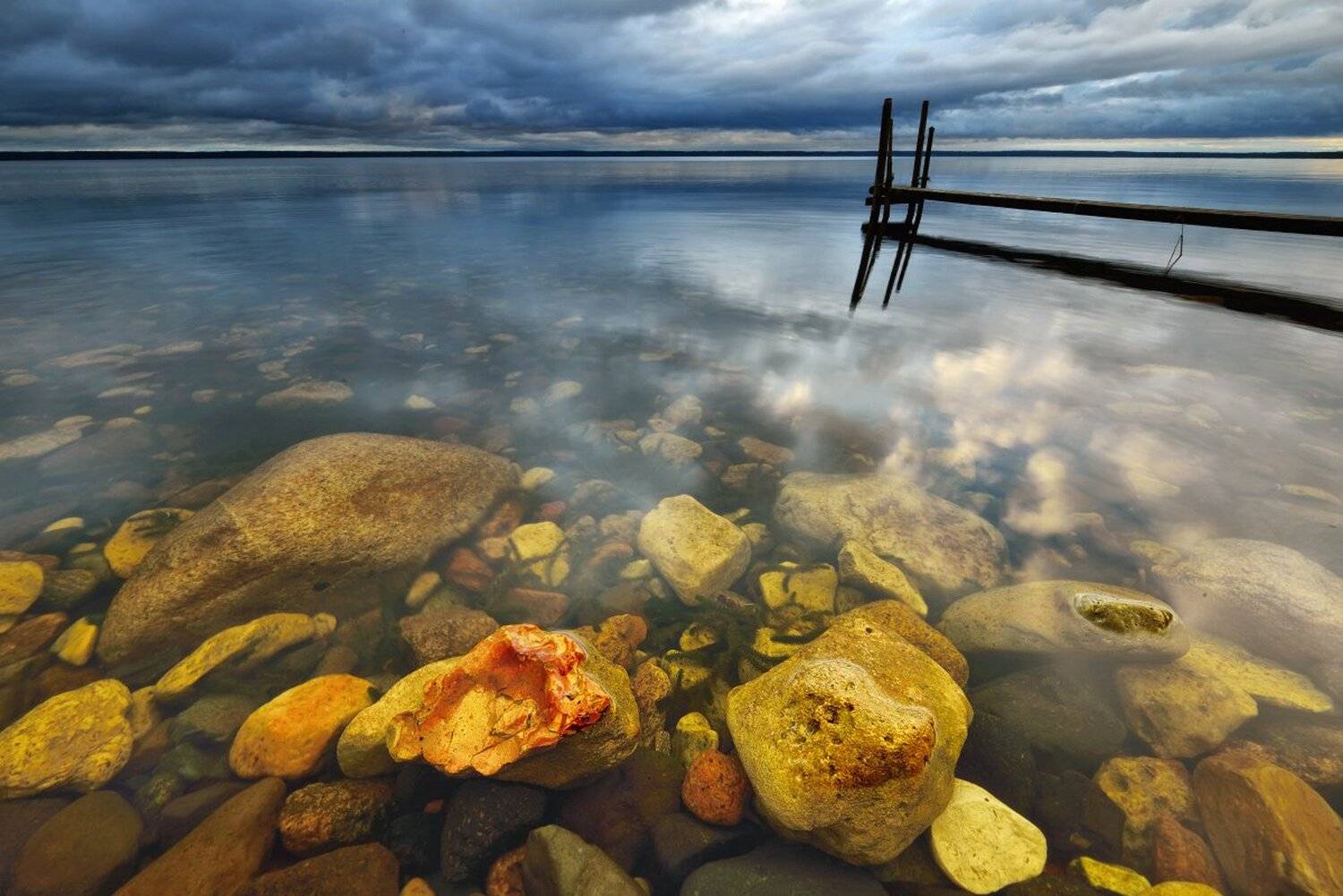 , Максим Евдокимов