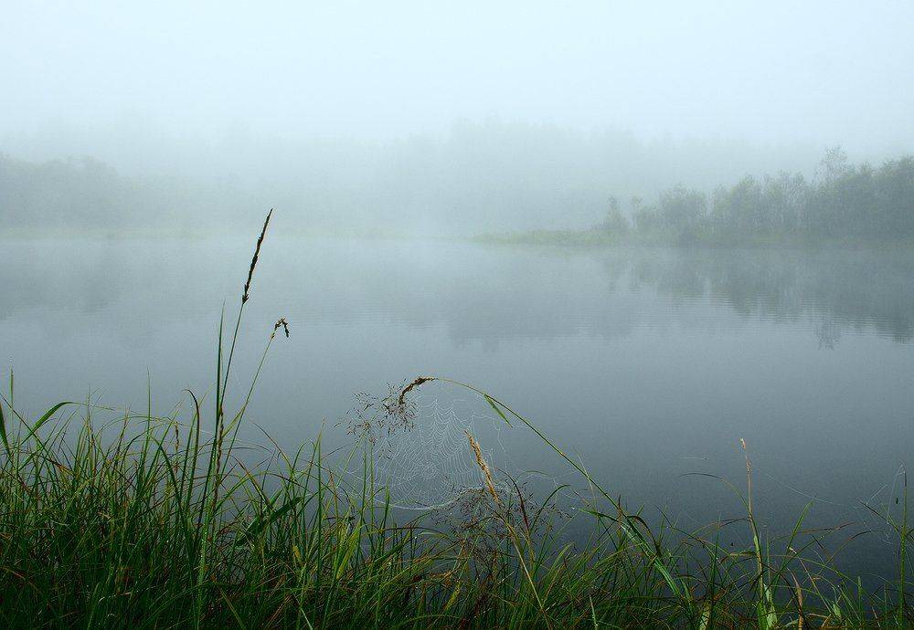 , Николай Морский