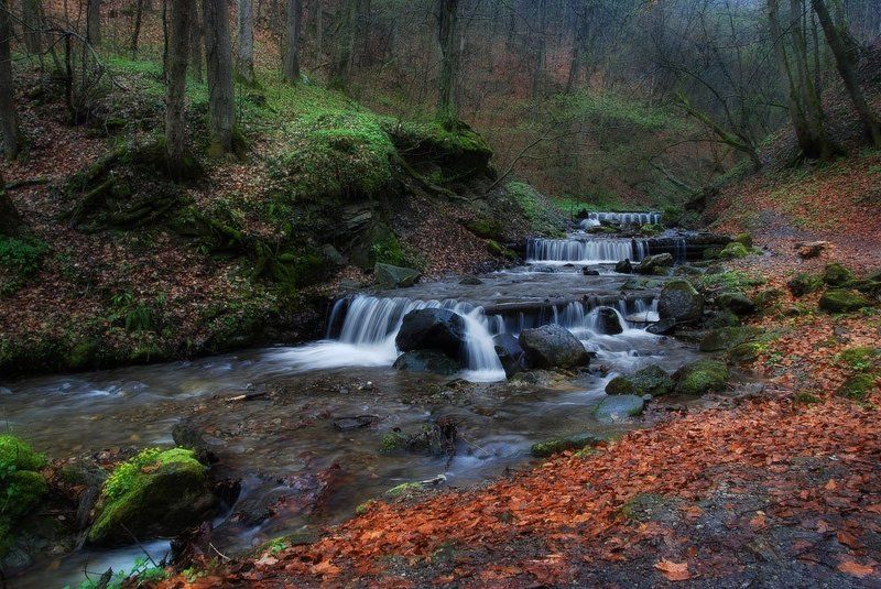 В лесу... фото превью