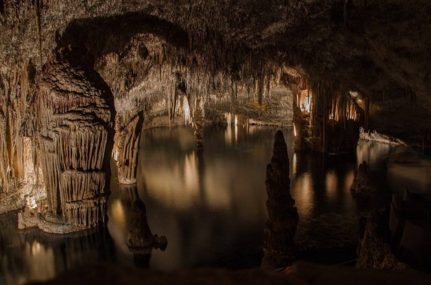 , Света и Вася