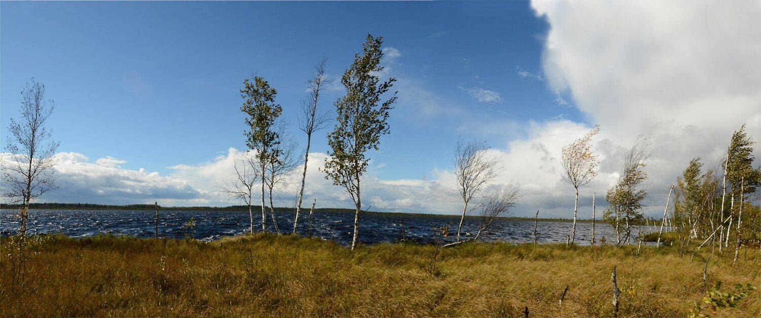 , Сергей Седов