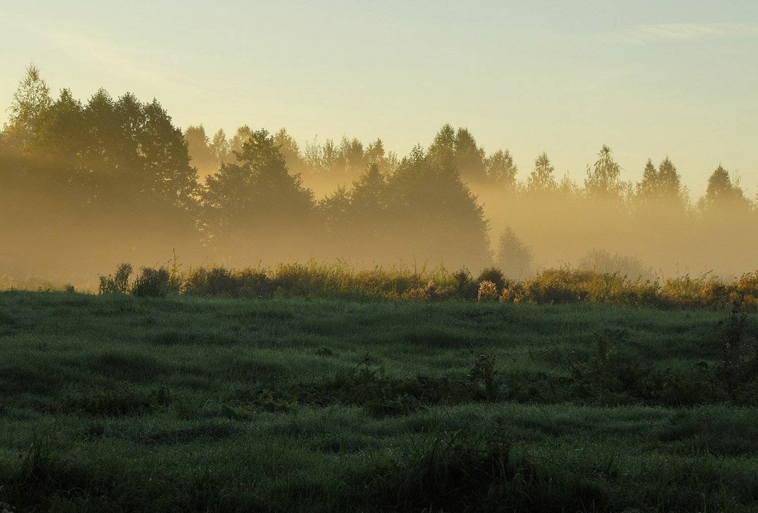 , Александр
