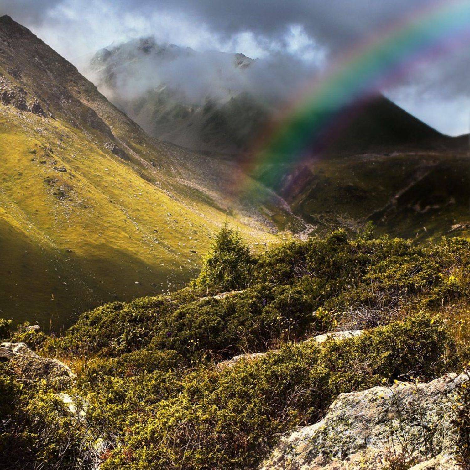 гаиш, Михаил Попов