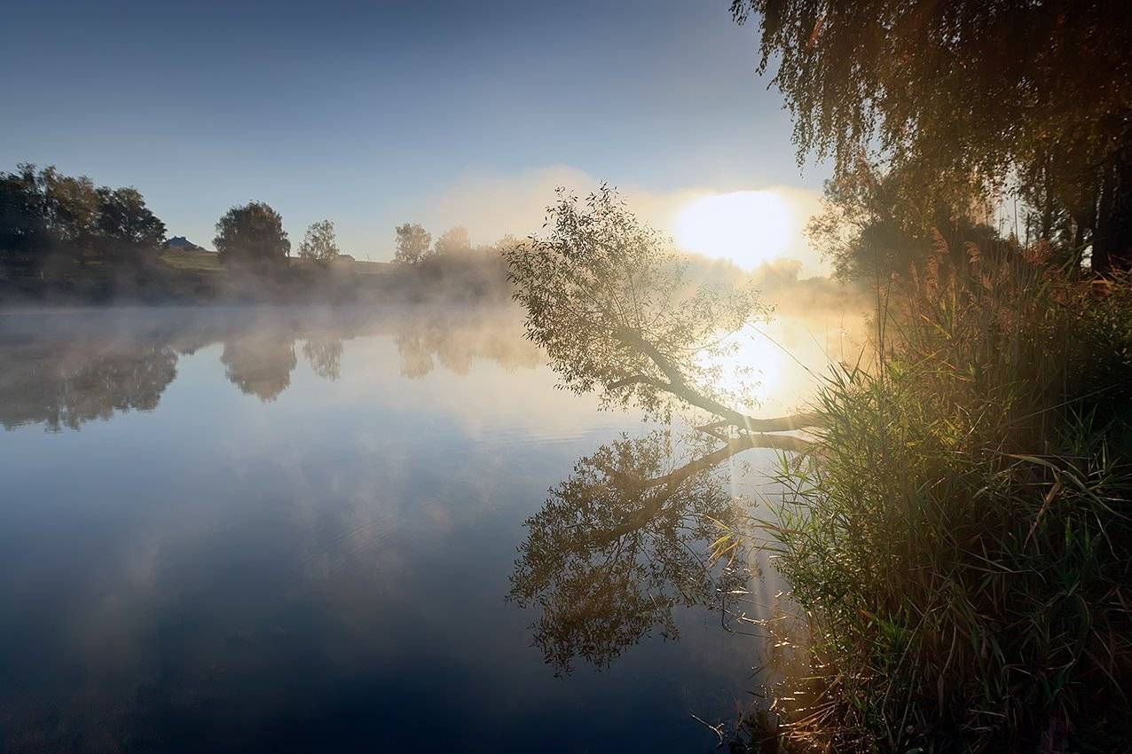 , Петр Антонович