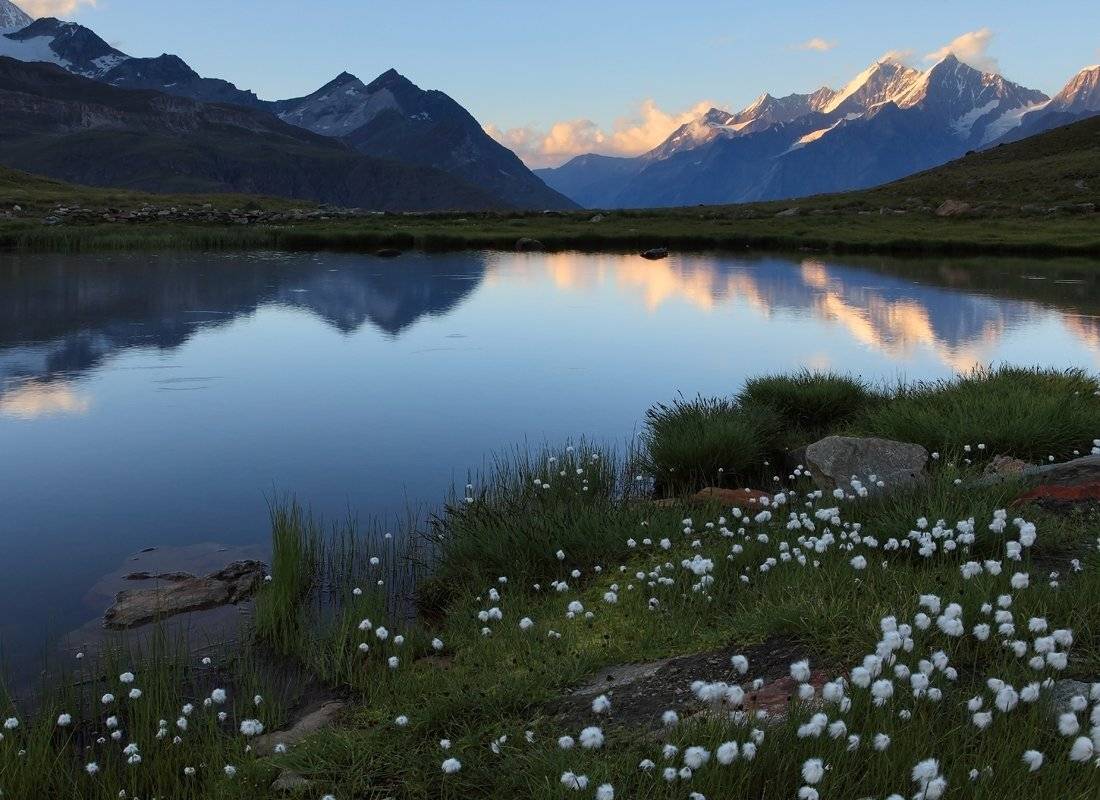 swiss,zermatt, Матвеев Николай