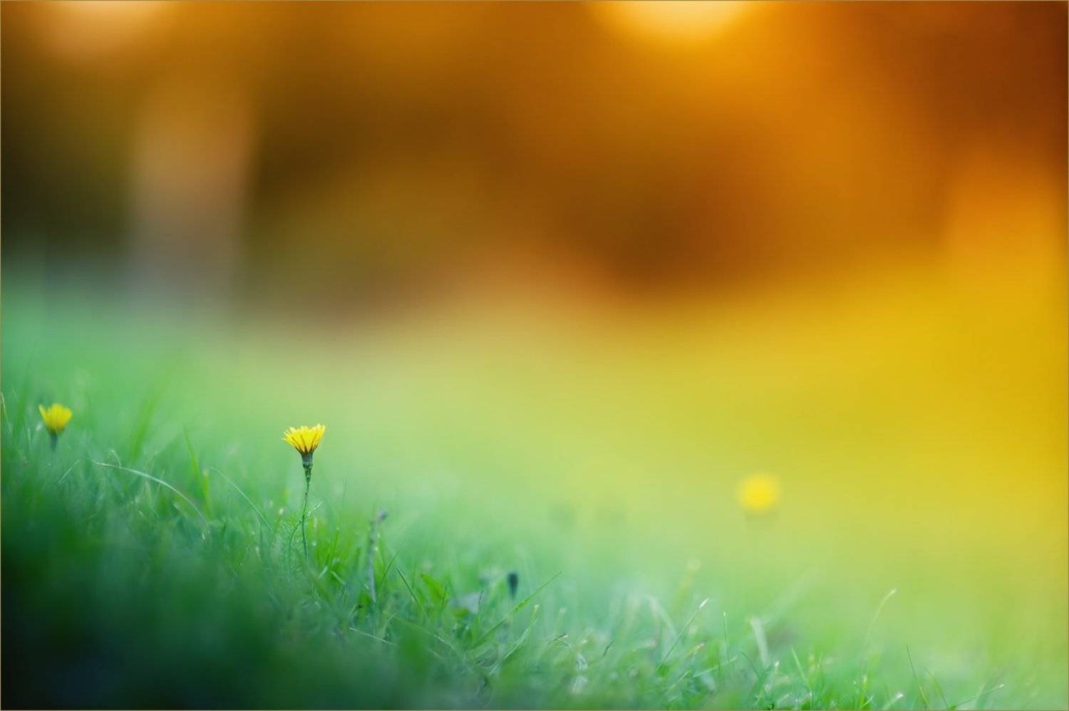 , Суханов Дмитрий