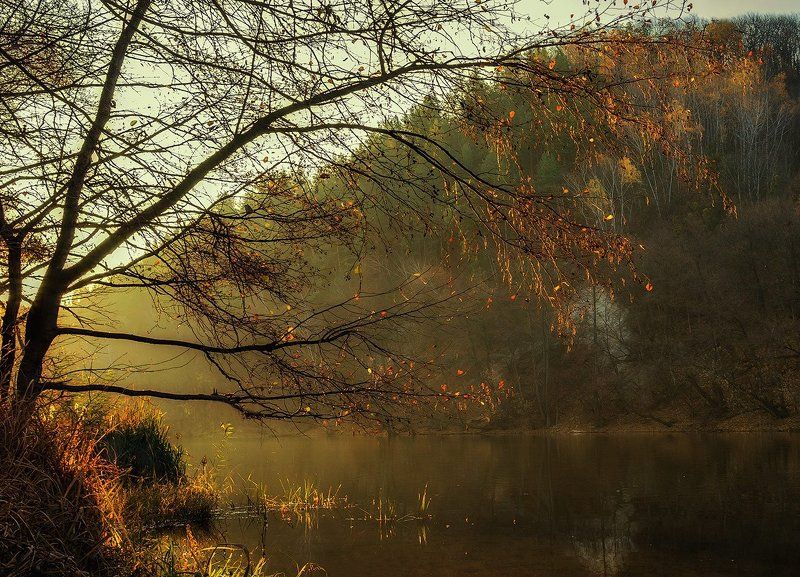 Про прошлогодний свет осенний ... фото превью