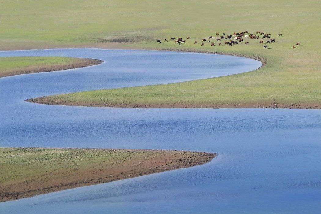 , Сидоренко Алексей