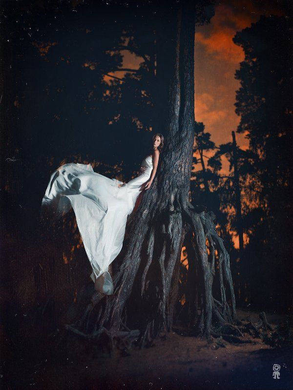 Tree фото превью