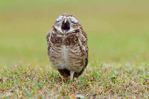 Доброе утро!