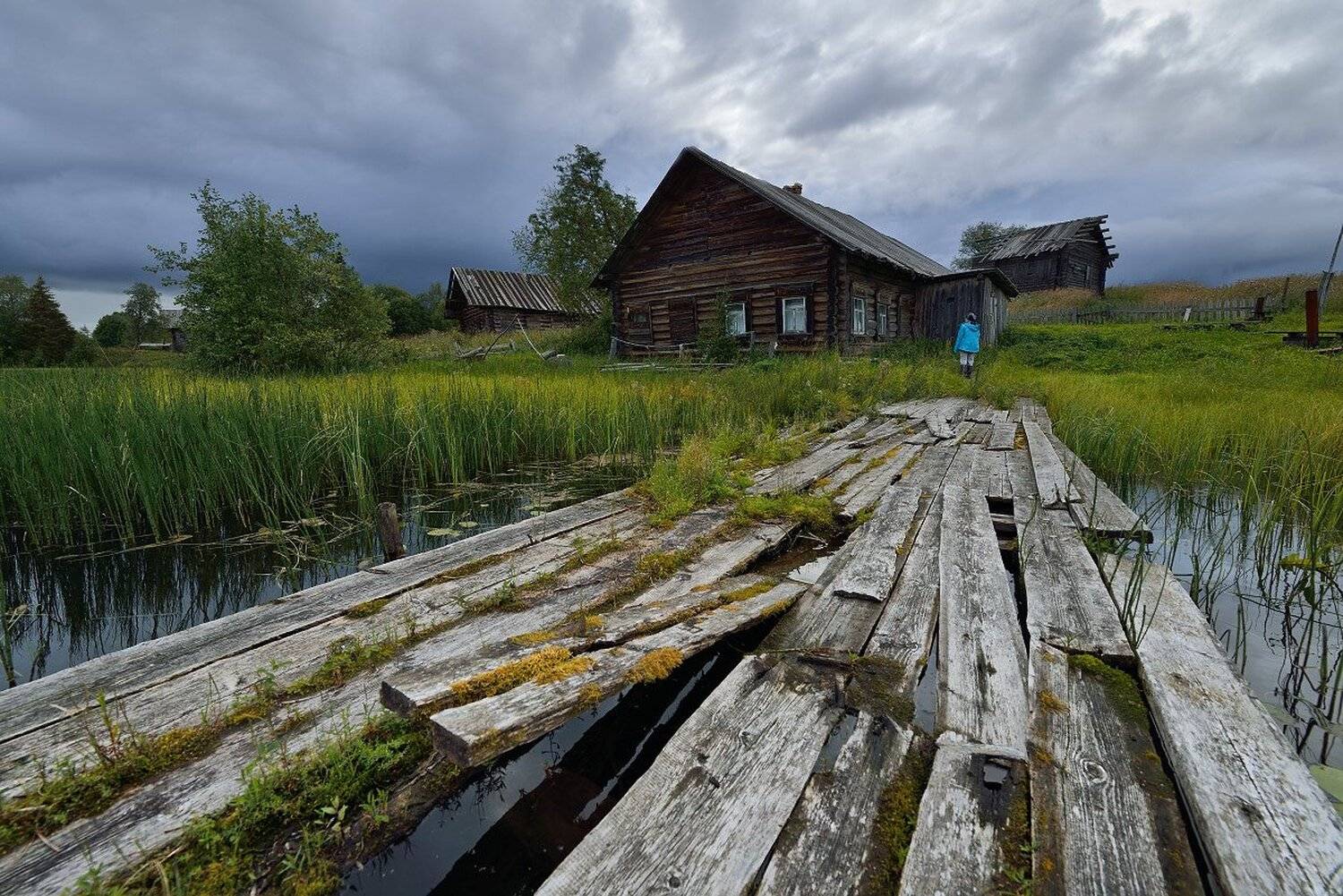 , Максим Евдокимов