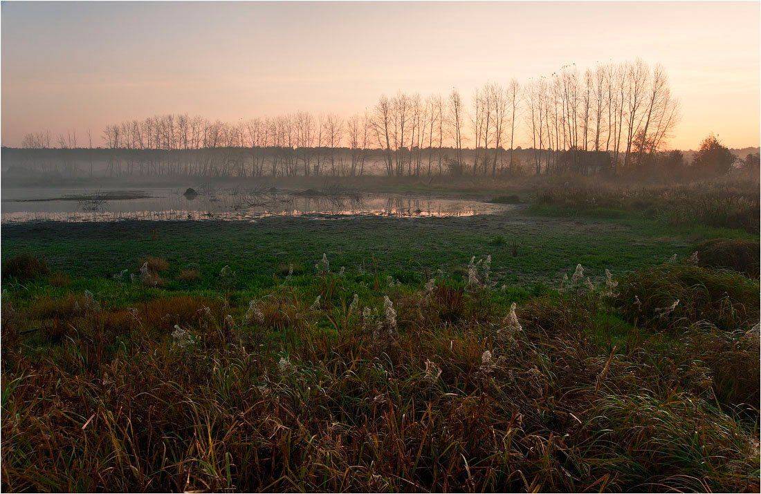 , Кутыгин Эдуард