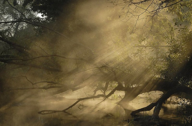 Утро с косяками фото превью