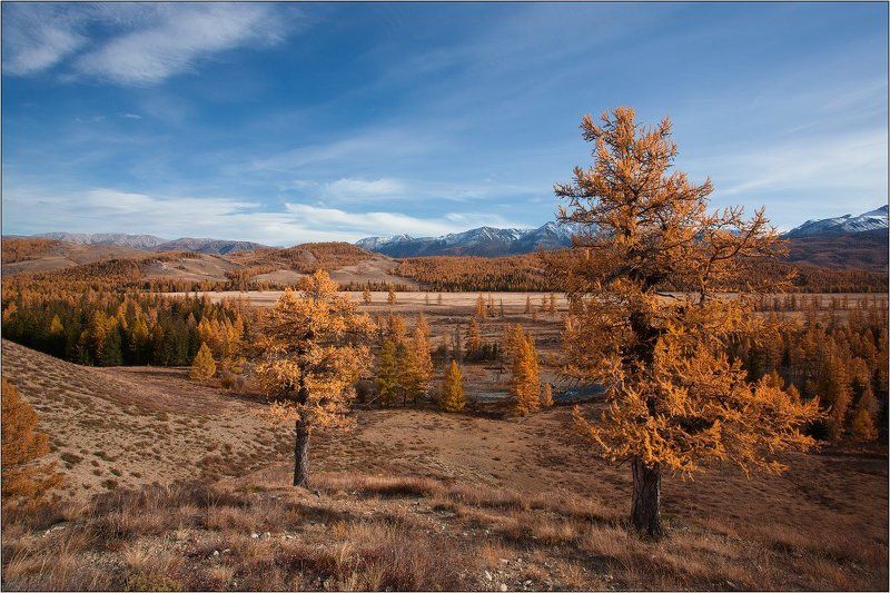алтай, актру * фото превью