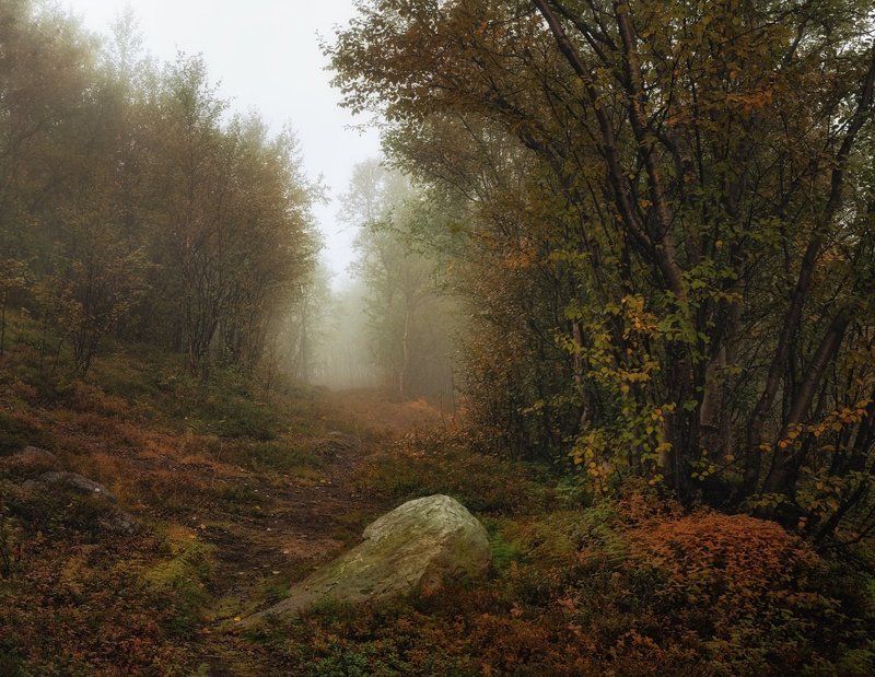 Дорога в осень фото превью