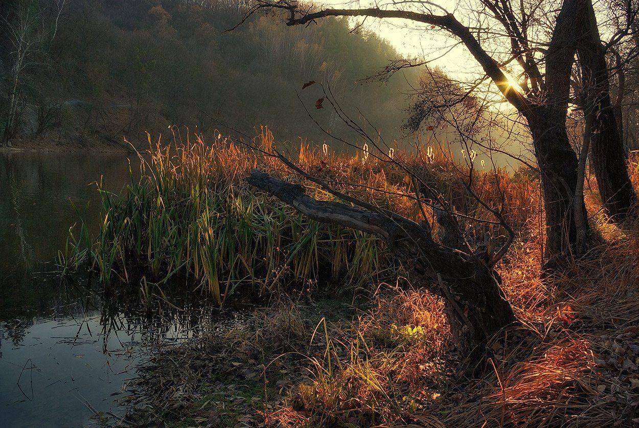 , Игорь Мелекесцев