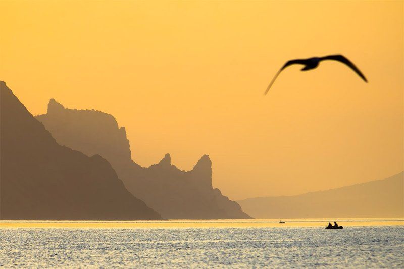 ... фото превью