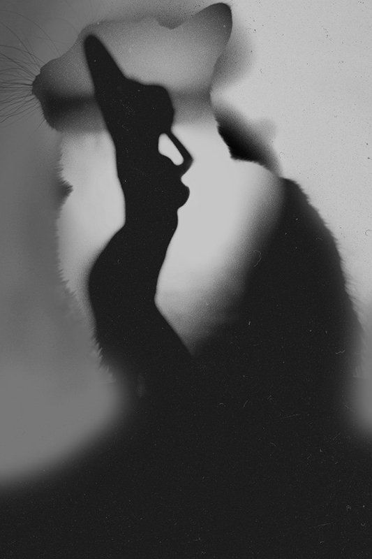 Женщина, по своей натуре - кошка фото превью