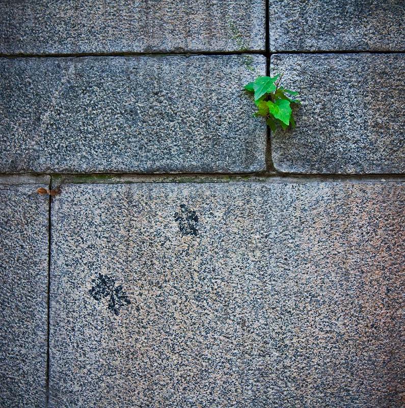 Simple фото превью