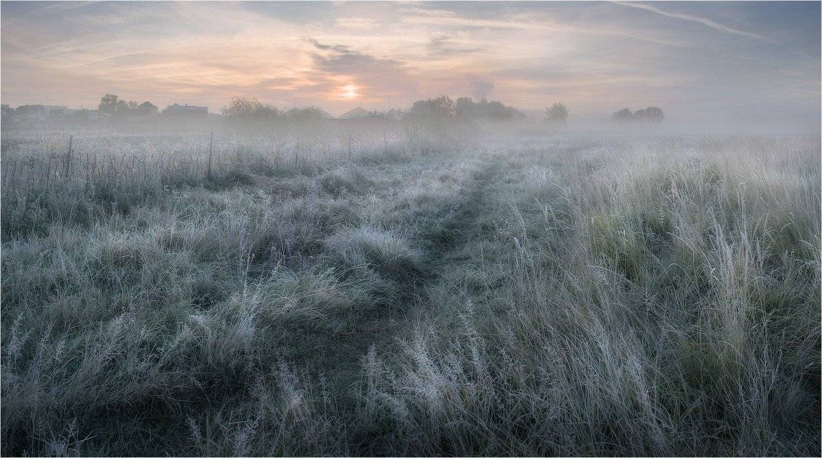 , Александр Киценко