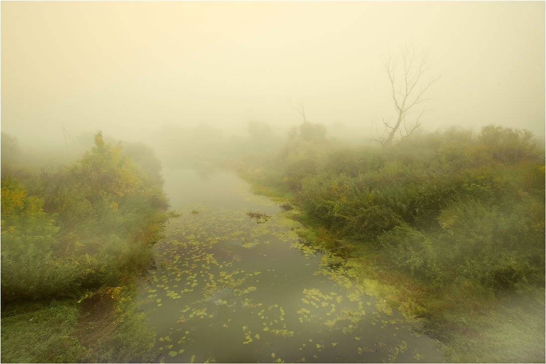 , Кутыгин Эдуард