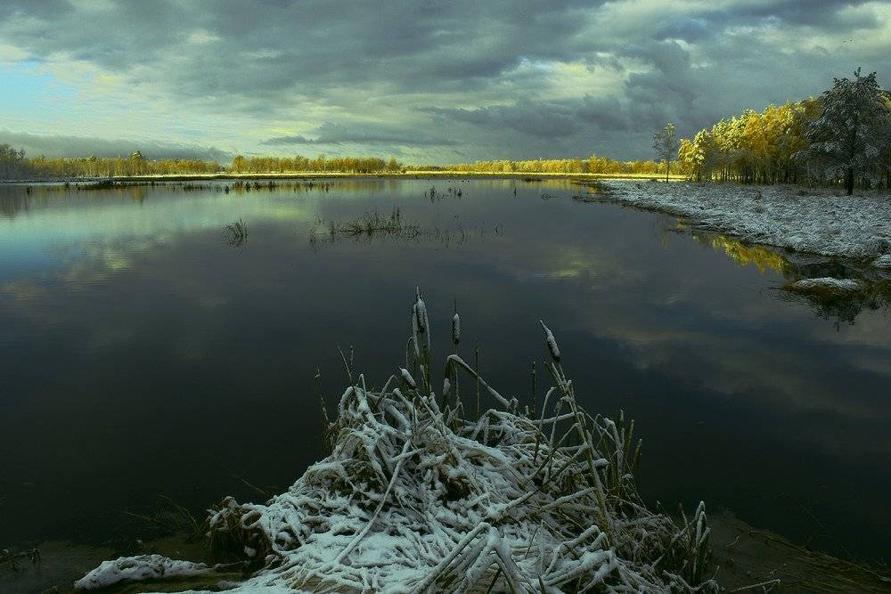 , Николай Морский