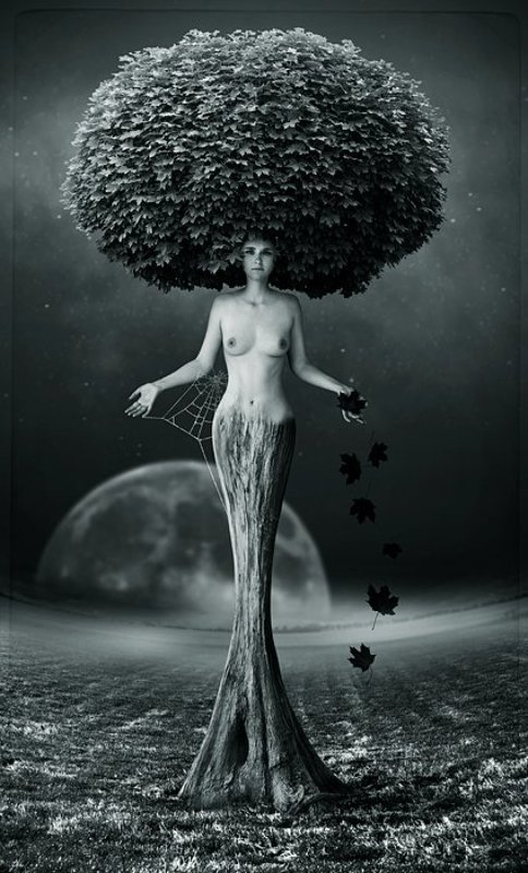 mrs autumn фото превью