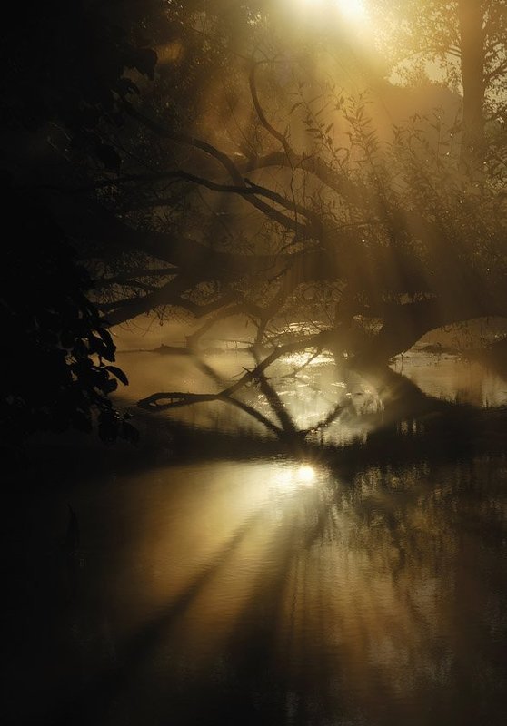 Утро начинается здесь фото превью