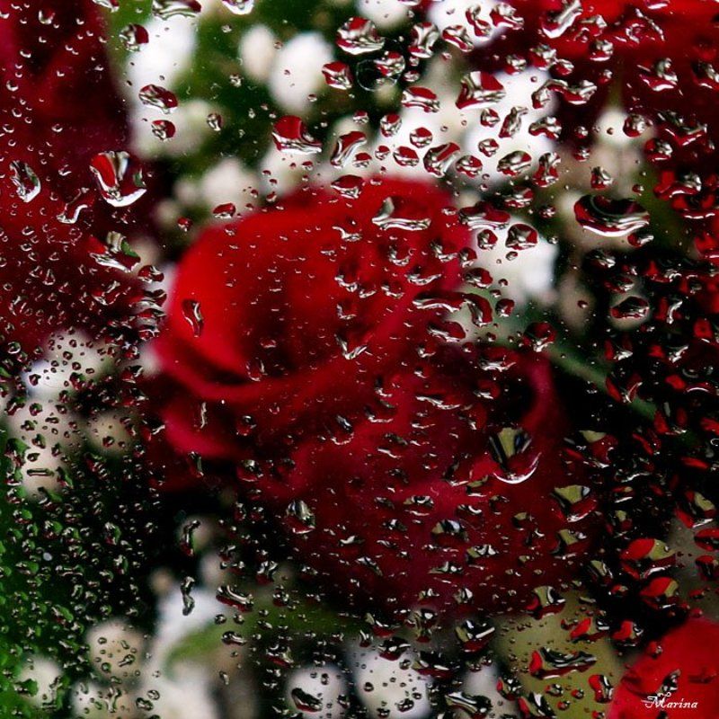 Капельки фото превью