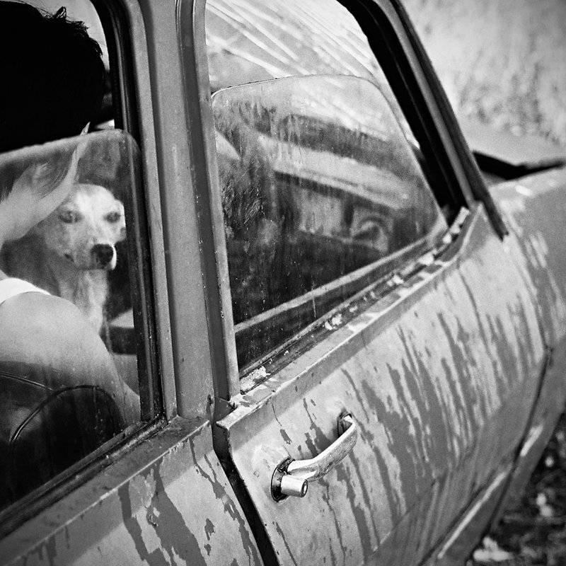 , Andreea Chiru
