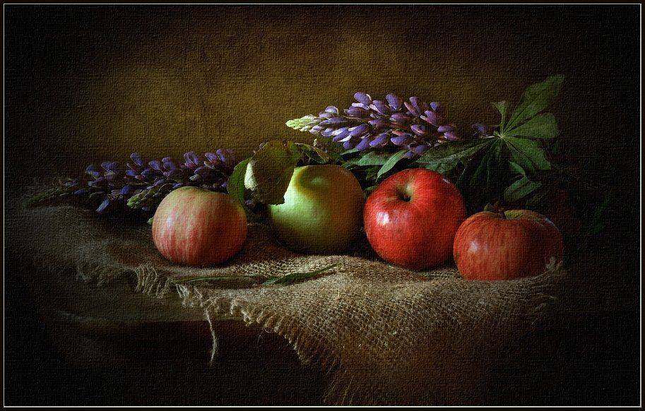 , Октай Гусейнов