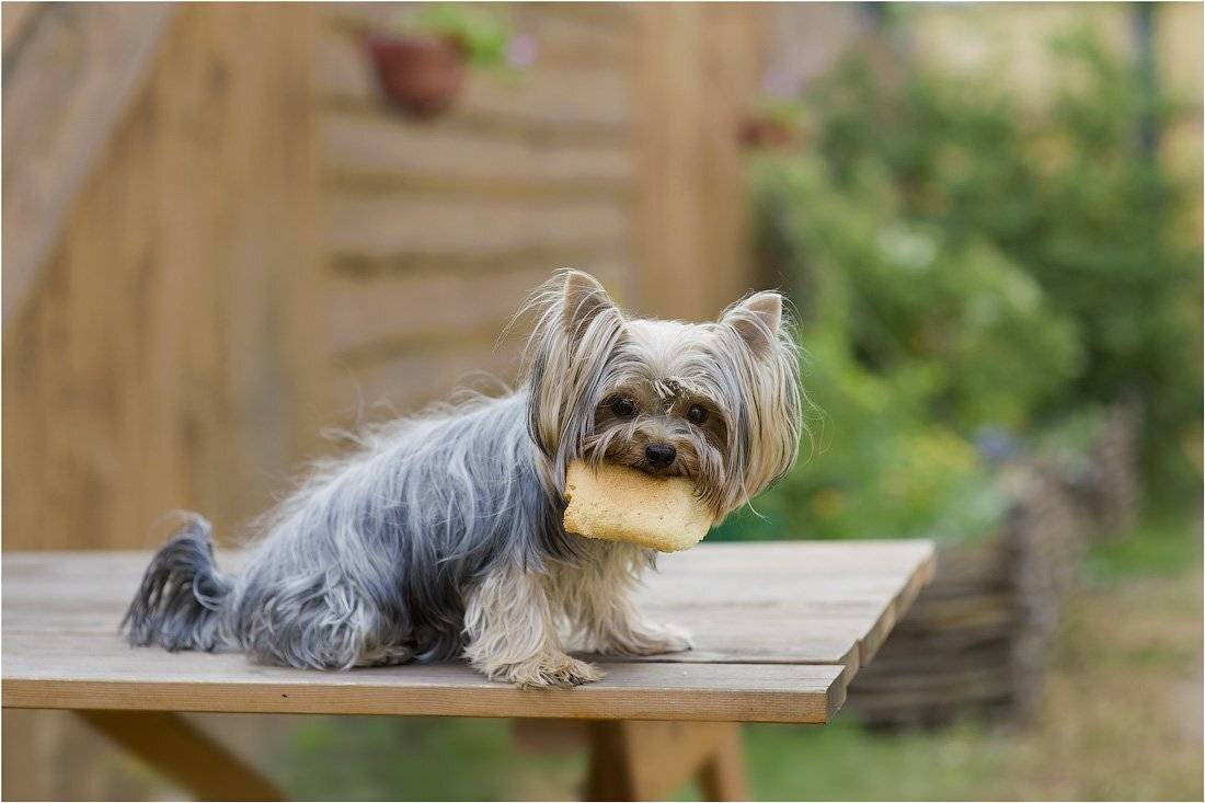 , Кутыгин Эдуард