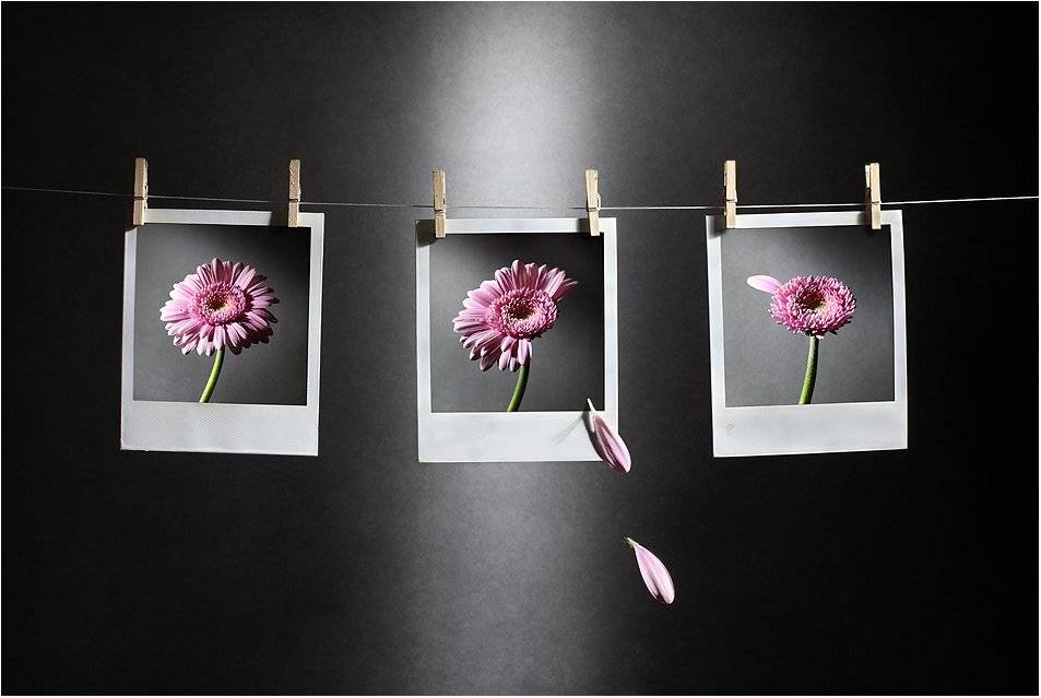 , Вика Иванова