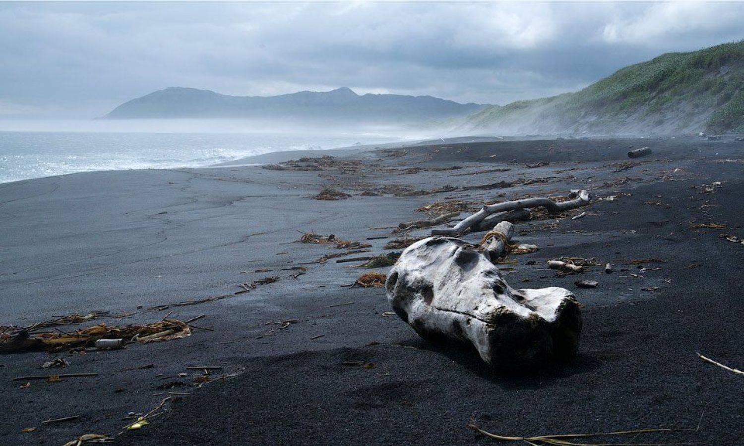 , Алексей Харитонов