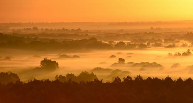 утро цвета осени... фото превью