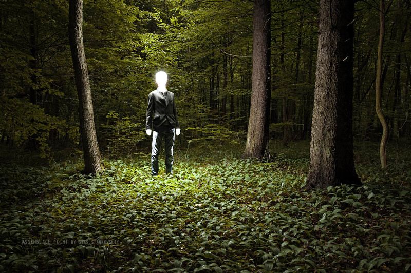 Assemblage point фото превью