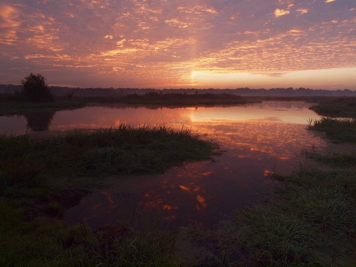 , Владимир Перепечаев