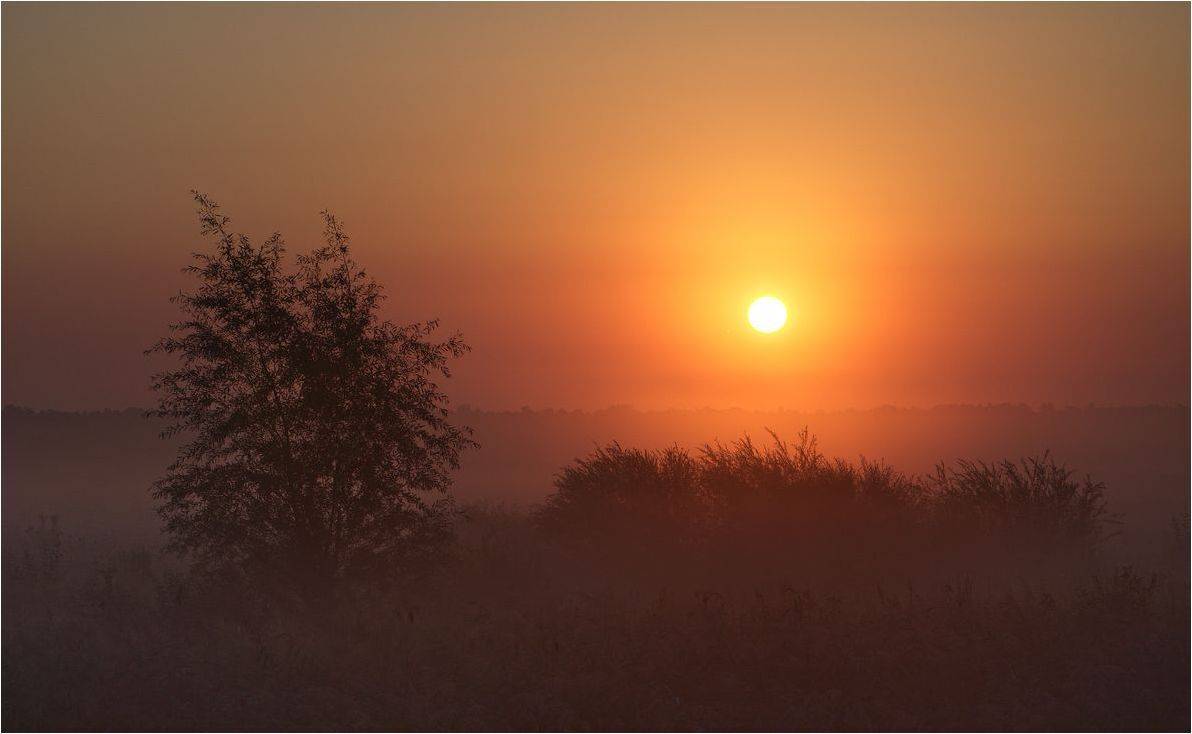 , Володимир Карчевський