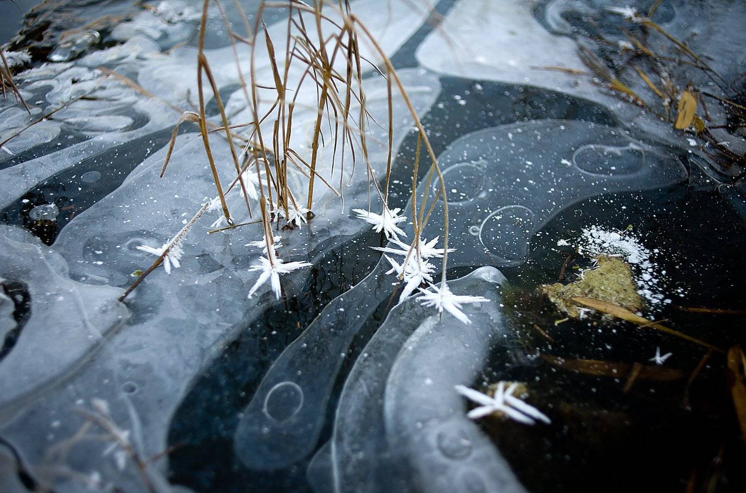 vadary лёд иней вода, Дарья Васильева