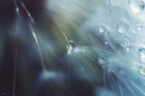 Перламутрово-хрустальный