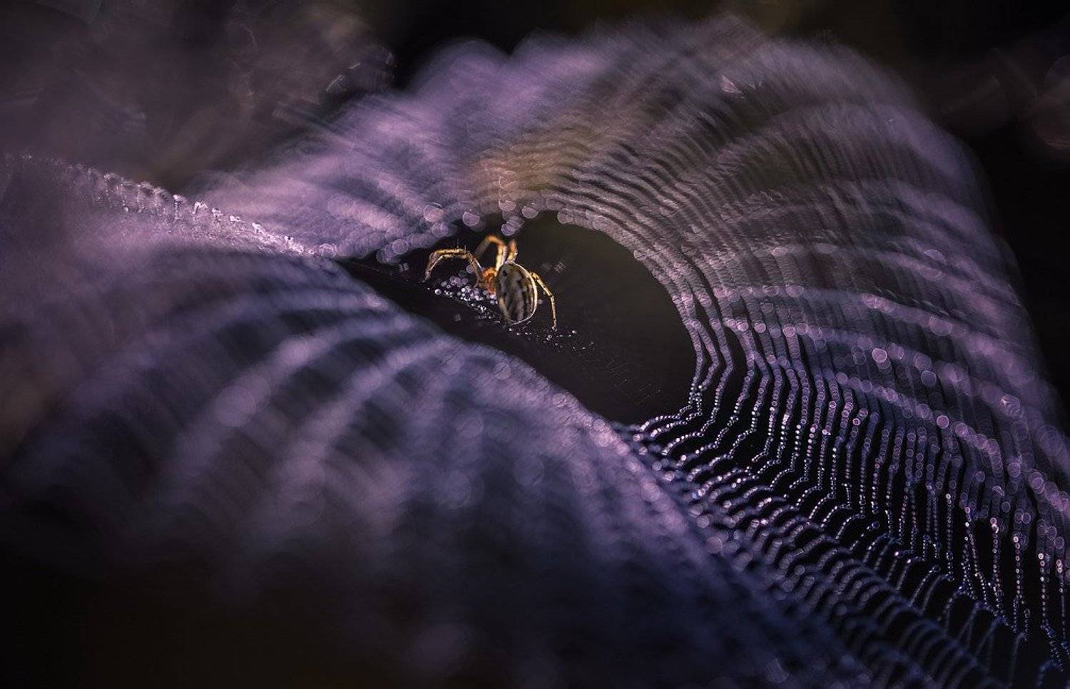 , Вячеслав Мищенко