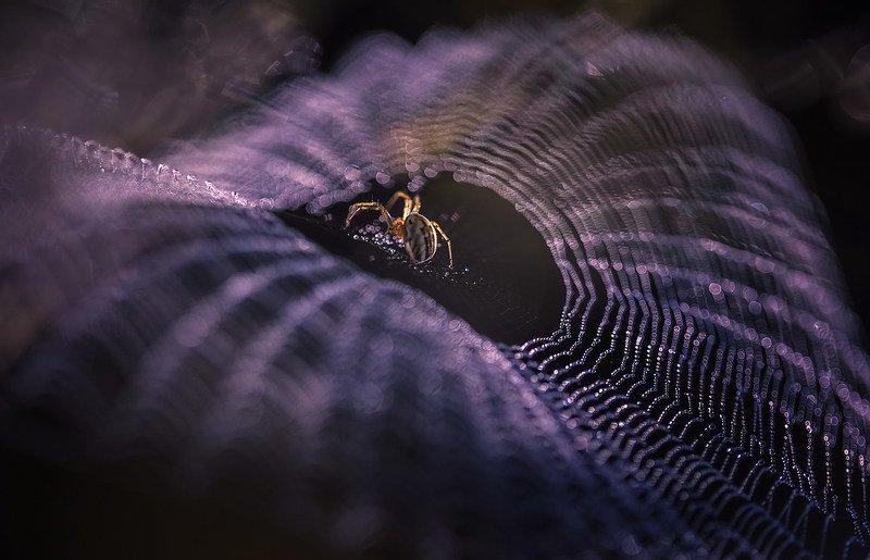 Кружева фото превью