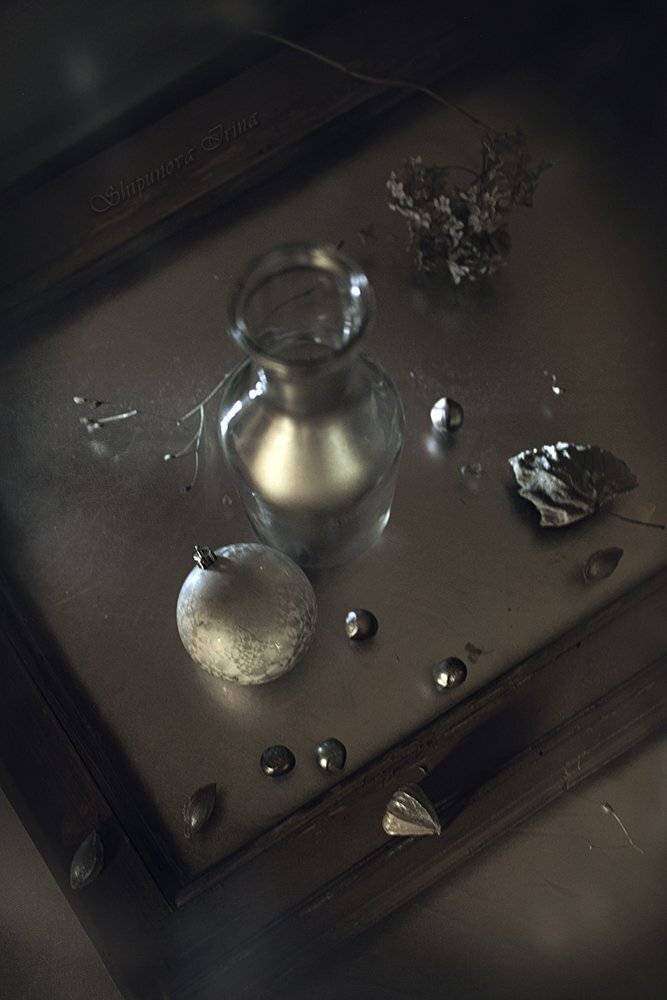 , Шипунова Ирина