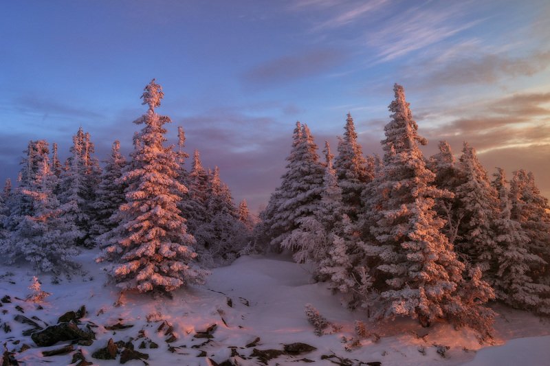 ******* фото превью