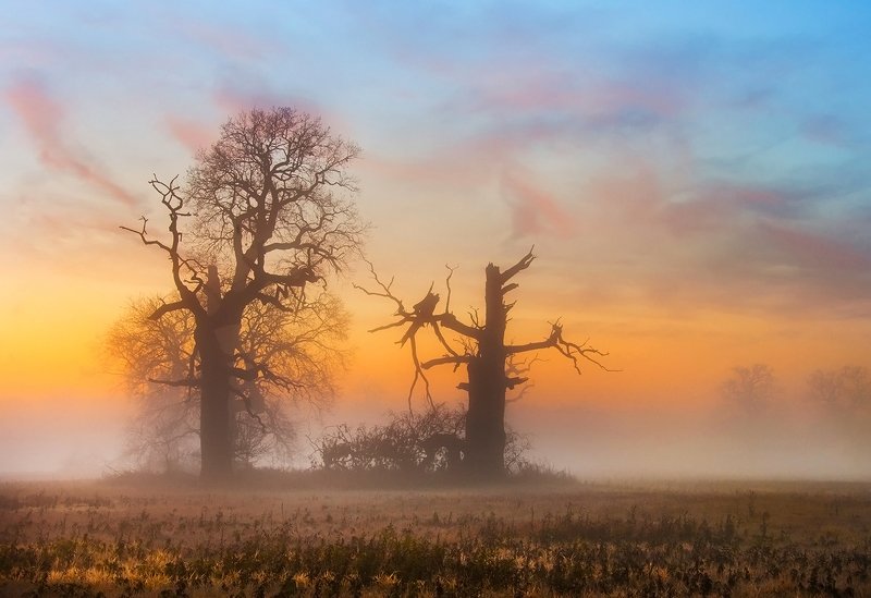 Barwy poranka фото превью