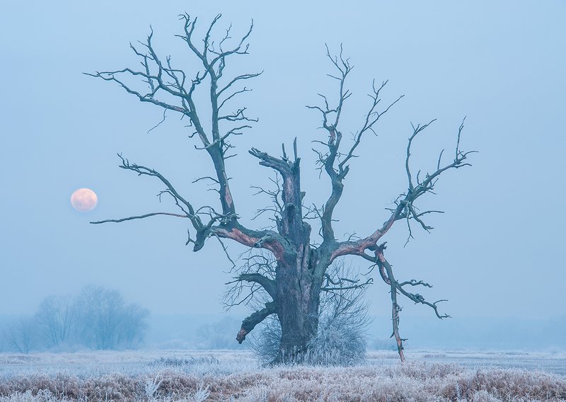 Razem przez wieki фото превью